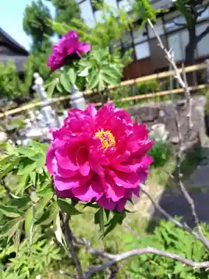 正泉寺(神奈川県)