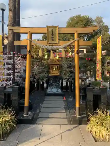 亀ケ池八幡宮の鳥居