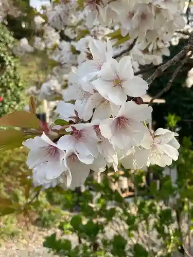 天台宗　長窪山　正覚寺の自然