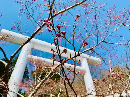 土津神社｜こどもと出世の神さまの鳥居