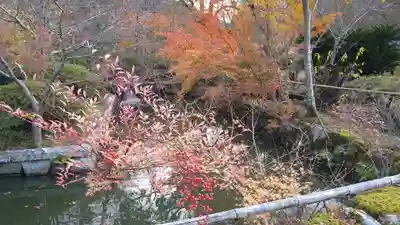 観心寺(大阪府)