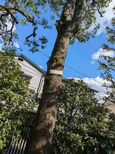 正覚院(東京都)