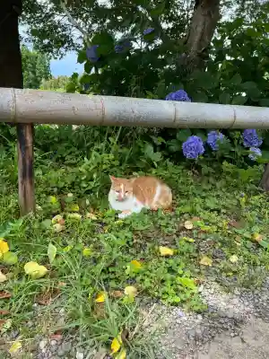 白鬚神社(宮崎県)