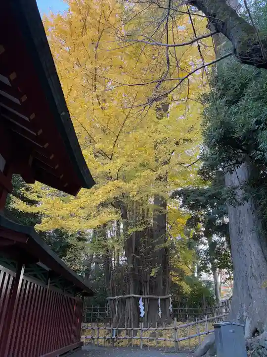 大國魂神社(東京都)