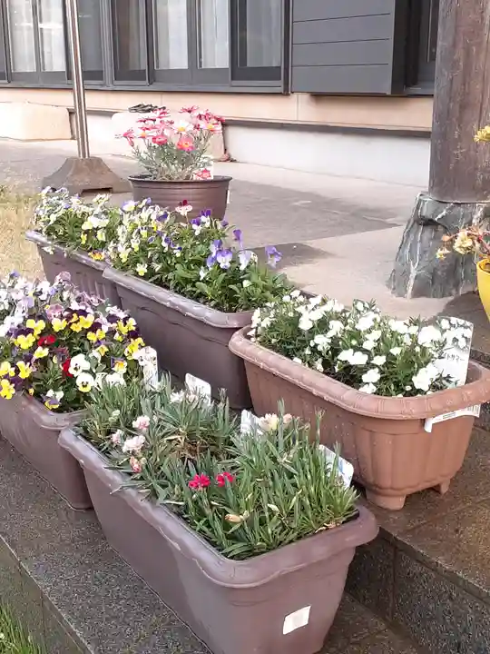 伏木香取神社の自然