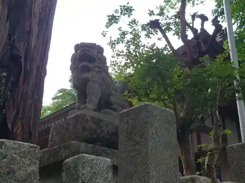 山中諏訪神社の狛犬