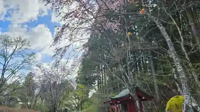 慈雲寺（並び地蔵　化け地蔵）(栃木県)