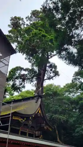 鹿島神宮の本殿・本堂