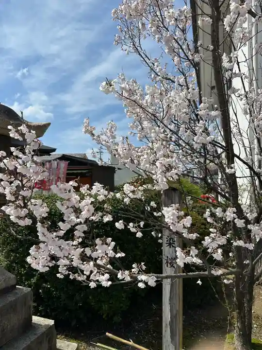 越中稲荷神社(富山県)