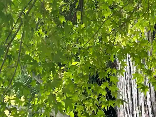 国宝 大法寺(長野県)