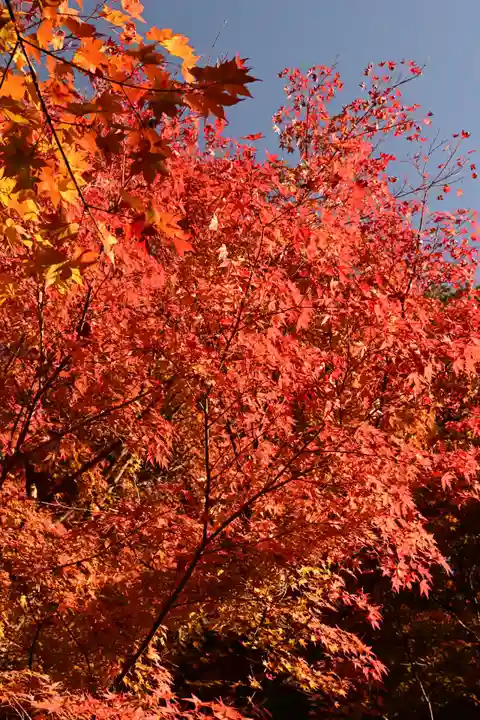 詩仙堂(丈山寺)(京都府)