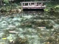 根道神社(岐阜県)