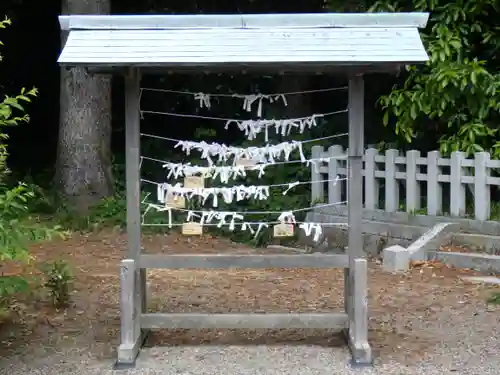 隠岐神社のおみくじ