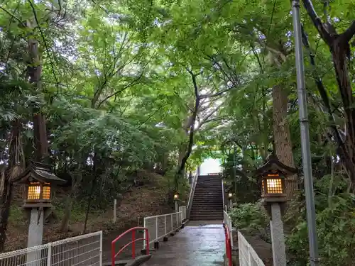 下総国三山　二宮神社の自然