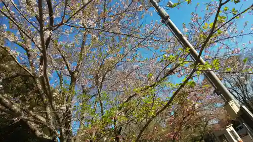 近江神宮のその他建物