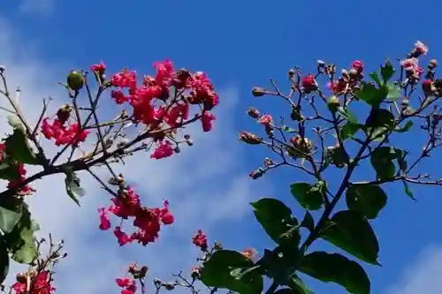 一條殿 新善光寺の自然