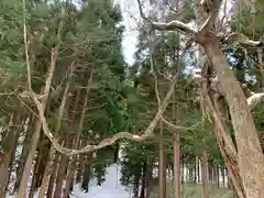 藤沼神社(福島県)