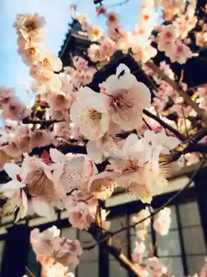 瑞円寺(東京都)