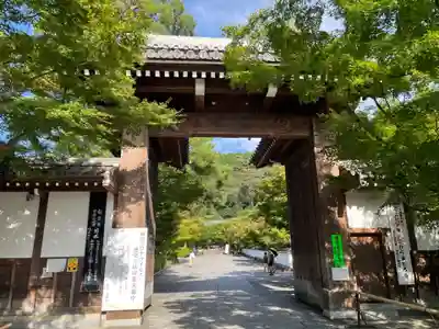 禅林寺(永観堂)(京都府)