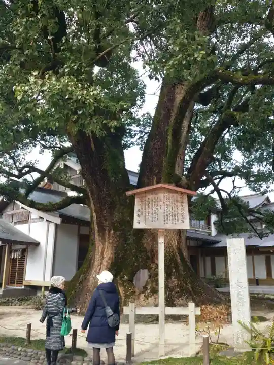 太宰府天満宮の自然