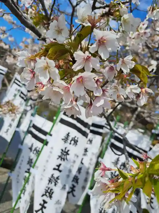 旗上弁財天社の自然