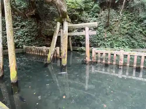 鹿島神宮(茨城県)