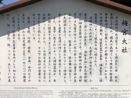 梅宮大社(京都府)