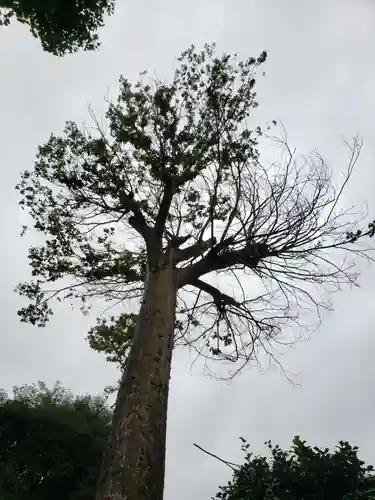 八幡神社(東京都)