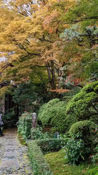 安楽寺(京都府)