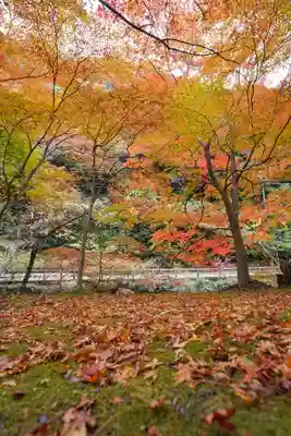 大寧寺(山口県)