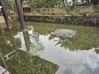 中宮寺(奈良県)