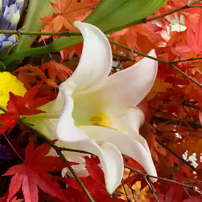 滑川神社 - 仕事と子どもの守り神の手水舎