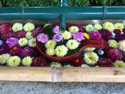 伊和志津神社の手水舎