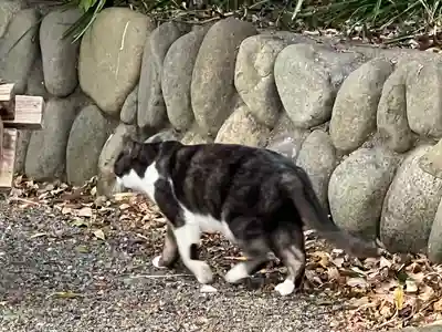 愛宕神社(埼玉県)