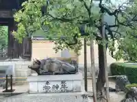 太宰府天満宮の{uncategorized: "未分類", other: "その他", undefined: "問題あり", building: "その他建物", grave: "お墓", sacred_gate: "鳥居", guardian: "狛犬", statue: "像", buddha: "仏像", history: "歴史", nature: "自然", garden: "庭園", animal: "動物", pagoda: "塔", temizu: "手水舎", mountain_gate: "山門・神門", sanctuary: "本殿・本堂", subordinate: "末社・摂社", art: "芸術", scenery: "景色", jizo: "地蔵", ema: "絵馬", goshuin: "御朱印", omikuji: "おみくじ", items: "授与品その他", amulet: "お守り", goshuincho: "御朱印帳", eats: "食事", festival: "お祭り", votive_dance: "神楽", shichigosan: "七五三参", wedding: "結婚式", experience: "体験その他", initially: "初詣", around: "周辺", anti_infection: "感染症対策"}
