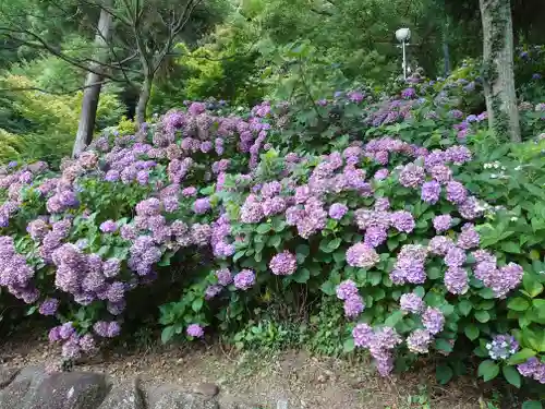 秋葉神社の自然