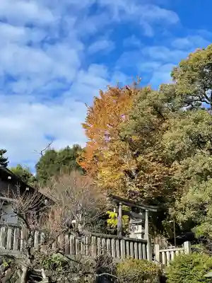 八雲神社(緑町)(栃木県)