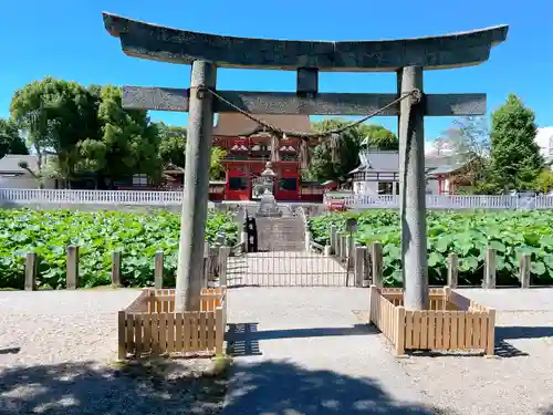 伊賀八幡宮の鳥居