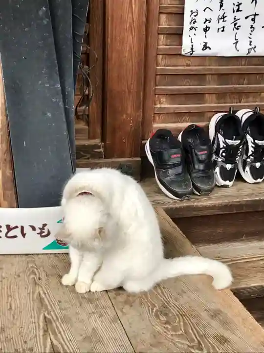 梅宮大社の動物