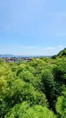 長谷寺(神奈川県)