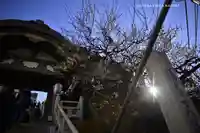 湯島天満宮(東京都)