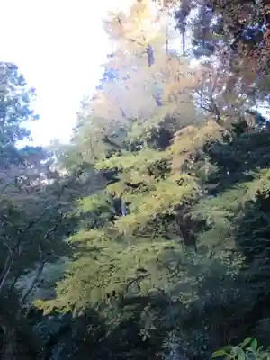 妙本寺の自然