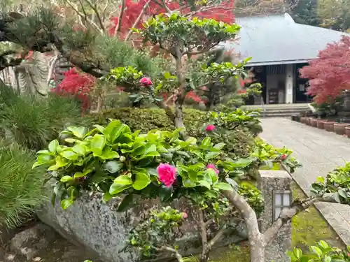 伊勢の国 四天王寺(三重県)