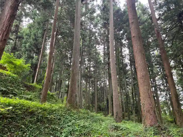 大宮温泉神社の周辺