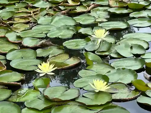 江田神社(宮崎県)