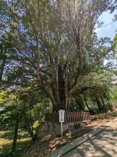 安房神社(千葉県)