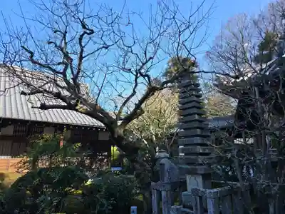 一條殿 新善光寺(京都府)