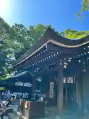 川越氷川神社(埼玉県)