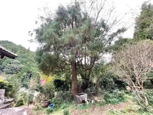 成覚寺(三重県)