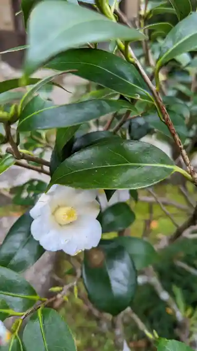 岩屋寺(京都府)